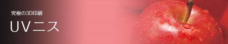 ���ɂ�3D����@UV�j�X